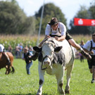 normal_16092012fmt_ochsenrennen_fm_34.JPG