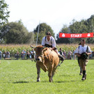 normal_16092012fmt_ochsenrennen_fm_37.JPG