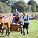 normal_16092012fmt_ochsenrennen_fm_48.JPG