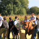 normal_16092012fmt_ochsenrennen_fm_65.JPG