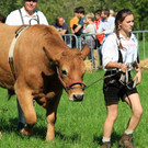normal_16092012fmt_ochsenrennen_fm_72.JPG