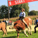 normal_16092012fmt_ochsenrennen_fm_75.JPG