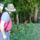 Turnier Weiler Höri