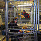 Tag der Offenen T__r Kinder 15_29_2012 _134 von 410_.jpg