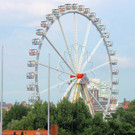 08.jpg