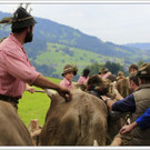 _59A7061_jpg-1347894381