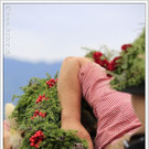 _59A7104_jpg-1347894433