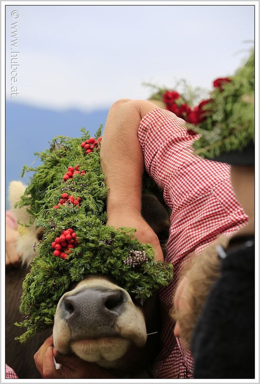 _59A7104_jpg-1347894433