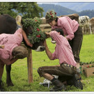 _59A7118_jpg-1347894449