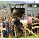 _59A7135_jpg-1347894462