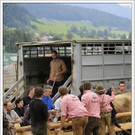 _59A7178_jpg-1347894513