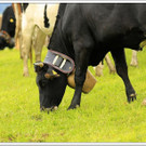 _59A7186_jpg-1347894519