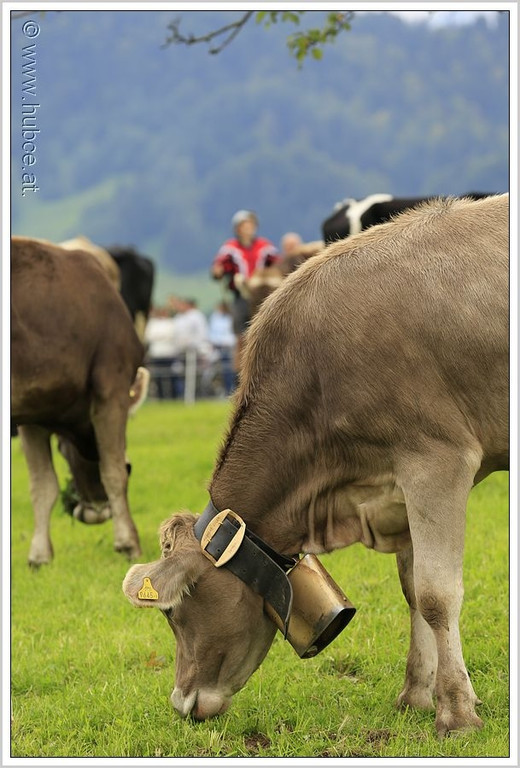 _59A7189_jpg-1347894522