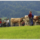 _59A7201_jpg-1347894533