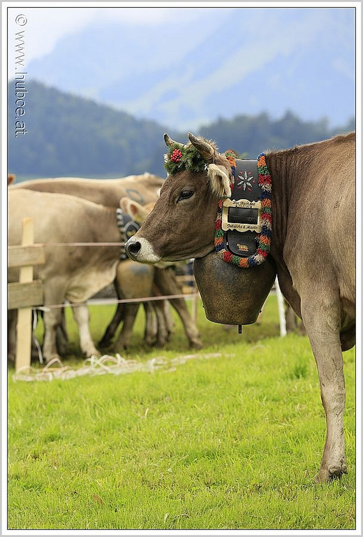 _59A7212_jpg-1347894550