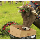 _59A7218_jpg-1347894557