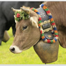 _59A7221_jpg-1347894561