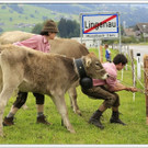 _59A7224_jpg-1347894565