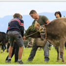 _59A7229_jpg-1347894568