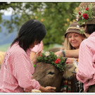 _59A7230_jpg-1347894572