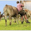 _59A7243_jpg-1347894581