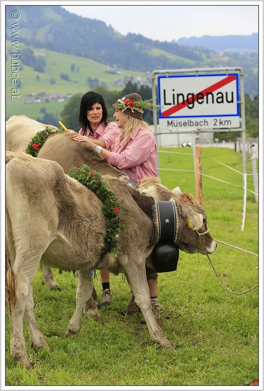 _59A7274_jpg-1347894606