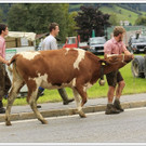 _59A7280_jpg-1347894621