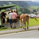 _59A7282_jpg-1347894625