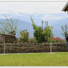 _59A7308_jpg-1347894644