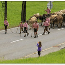 _59A7318_jpg-1347894666