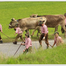 _59A7322_jpg-1347894669