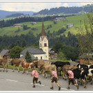 _59A7339_jpg-1347894678