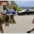 _59A7351_jpg-1347894704