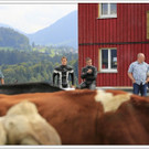 _59A7359_jpg-1347894715