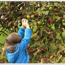 _59A7364_jpg-1347894725