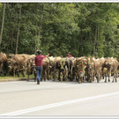 _59A7369_jpg-1347894743