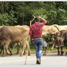 _59A7373_jpg-1347894754