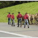 _59A7386_jpg-1347894758