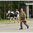 _59A7388_jpg-1347894762