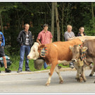 _59A7394_jpg-1347894767