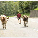 _59A7401_jpg-1347894774