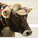 _59A7407_jpg-1347894777