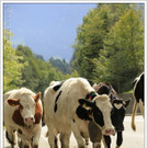 _59A7413_jpg-1347894783