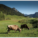 chf 003_jpg-1347908737