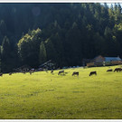 chf 012_jpg-1347908753