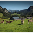 chf 157_jpg-1347908912