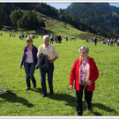 chf 161_jpg-1347908923