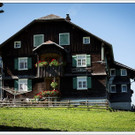chf 165_jpg-1347908928