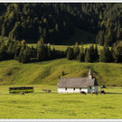 chf 377_jpg-1347909238