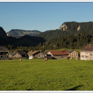chf 403_jpg-1347909285
